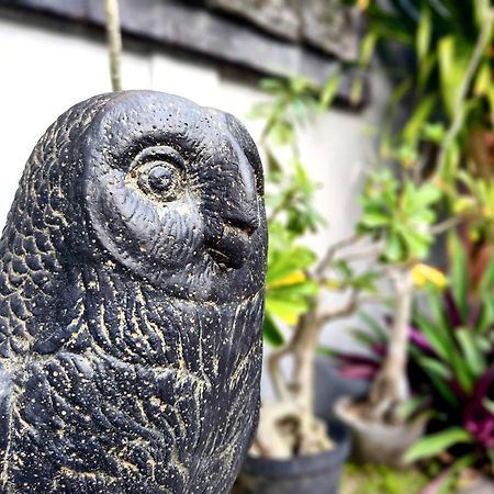 Panda Lumbung Bed and Breakfast Sanur Eksteriør billede