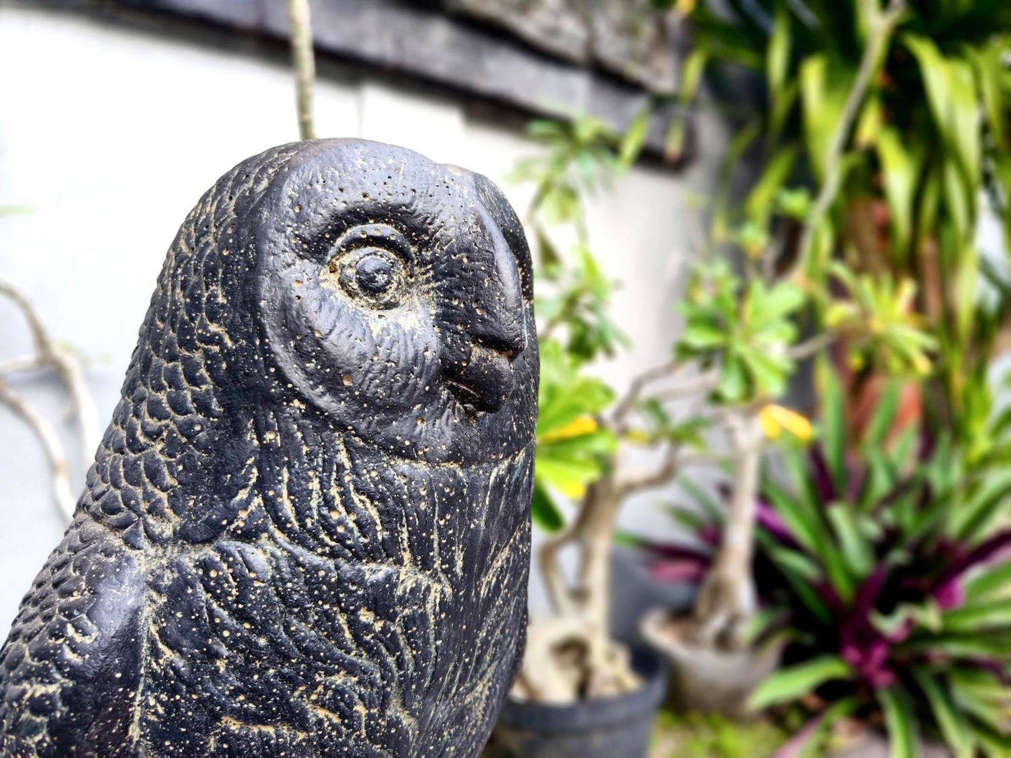 Panda Lumbung Bed and Breakfast Sanur Eksteriør billede